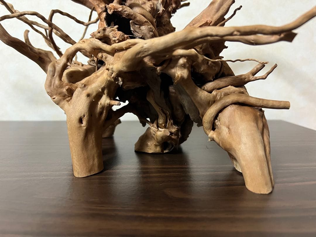 11206 ブランチウッド　流木　アクアリウム　沈水確認済