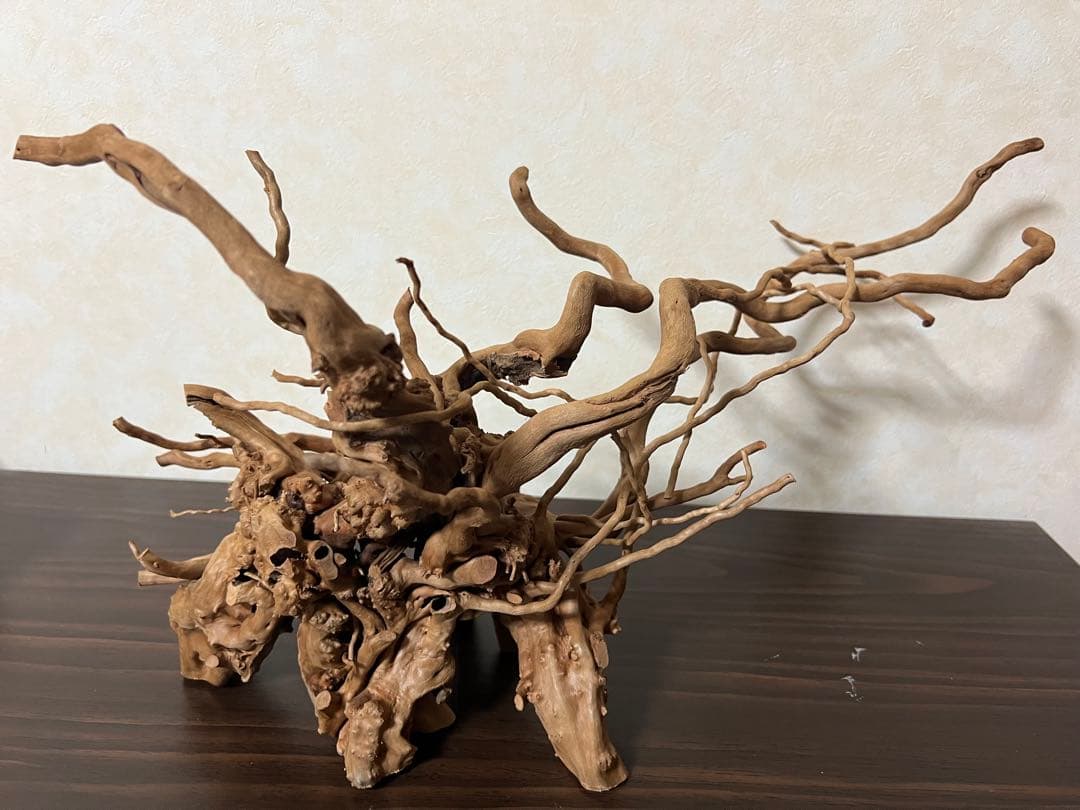 11206 ブランチウッド　流木　アクアリウム　沈水確認済