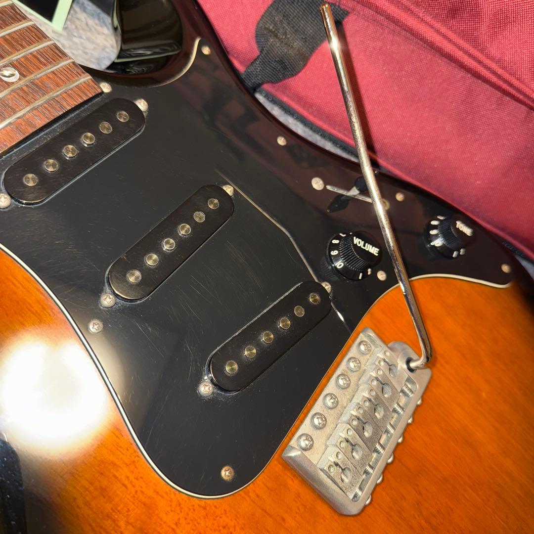 2009年製 Paul Reed Smith SE EG 純正ギグバッグ 付き