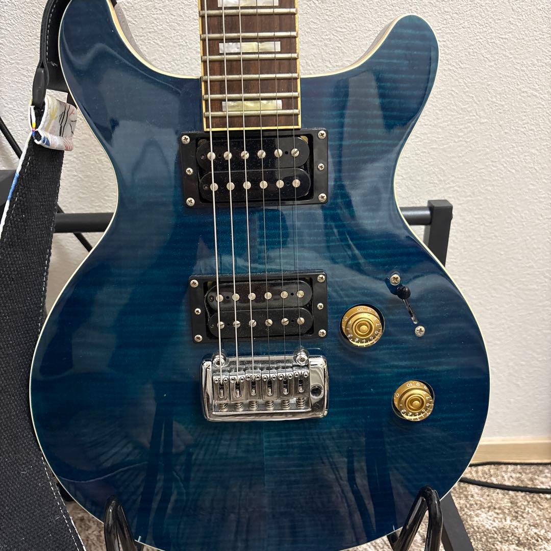 ギター ESP Grass roots knight model G-KT-48