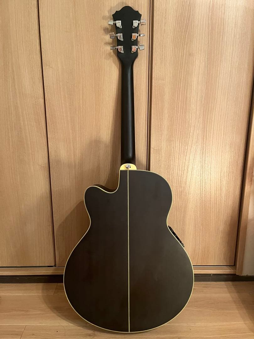 Ibanez AEL20E / AEL40SEジャンク　ケース付