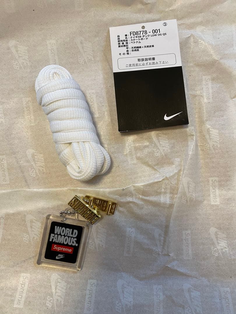 スケートボード Supreme NIKE SB Rammellzee Dunk low 27