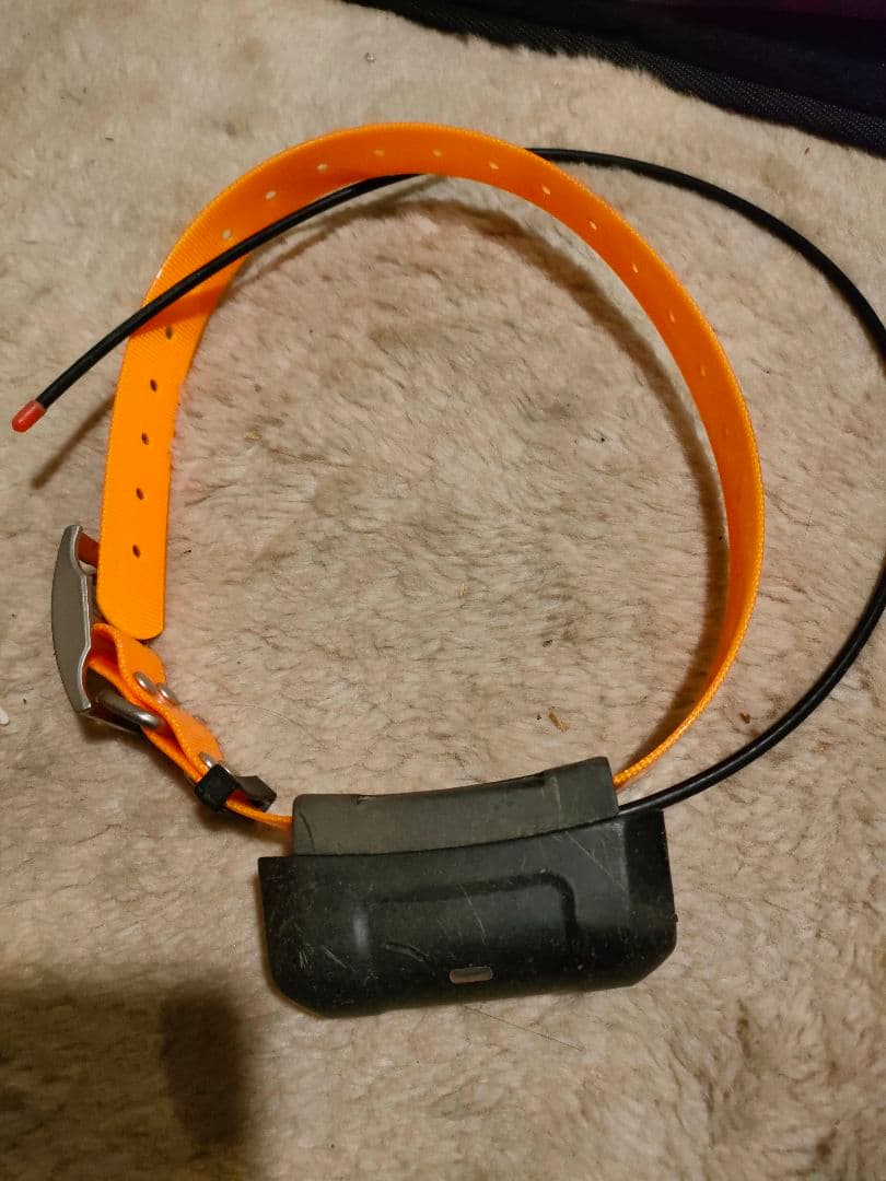 GARMIN ガーミン アストロ DC-40 首輪