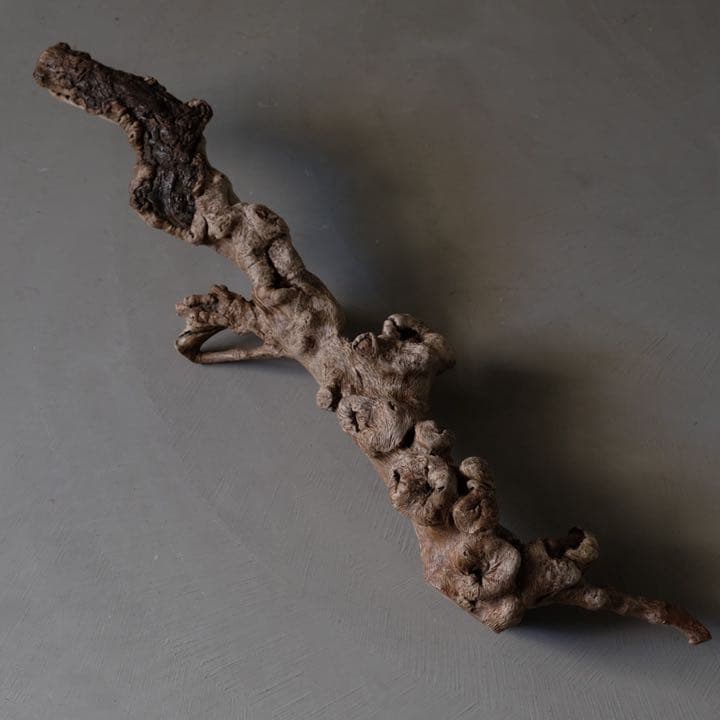 瘤杢 ワニのオブジェ 流木 古材 木製 置物 アート 芸術 アンティーク 古道具