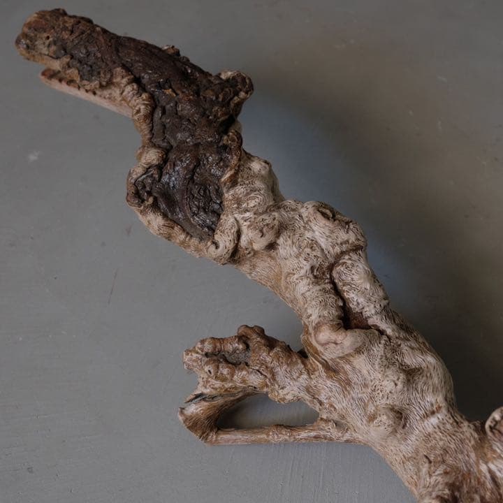 瘤杢 ワニのオブジェ 流木 古材 木製 置物 アート 芸術 アンティーク 古道具