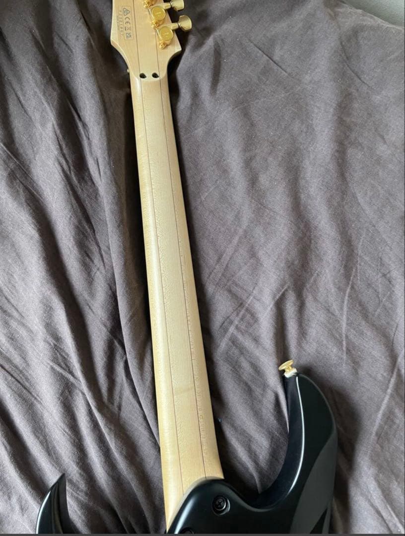 ギター Ibanez PIA3761 Steve Vai Signature