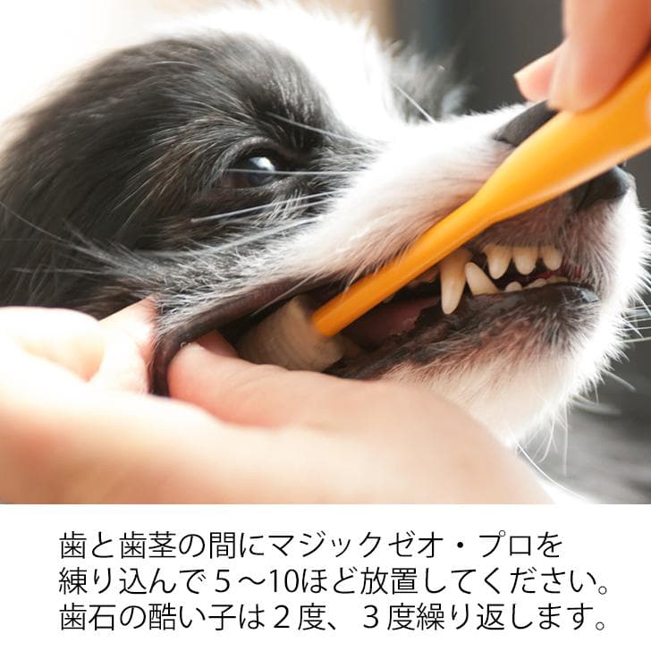 マジックゼオプロ業務用 多頭飼い　サロンなどでご利用に方向け