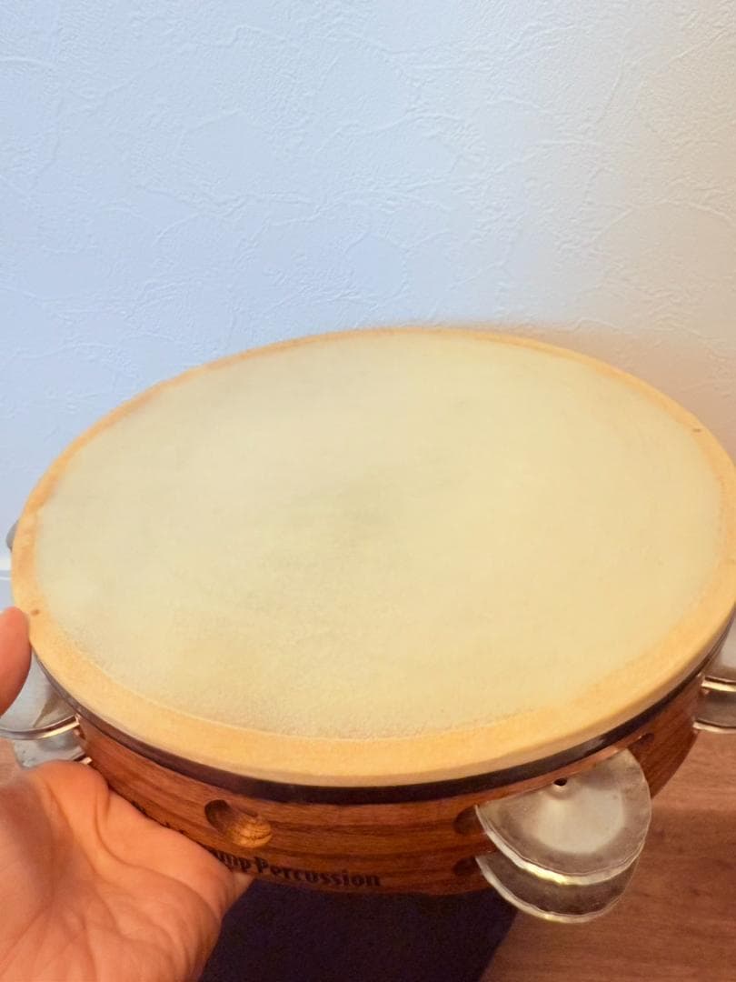 Black Swamp タンバリン 正規品 専用ケース付き