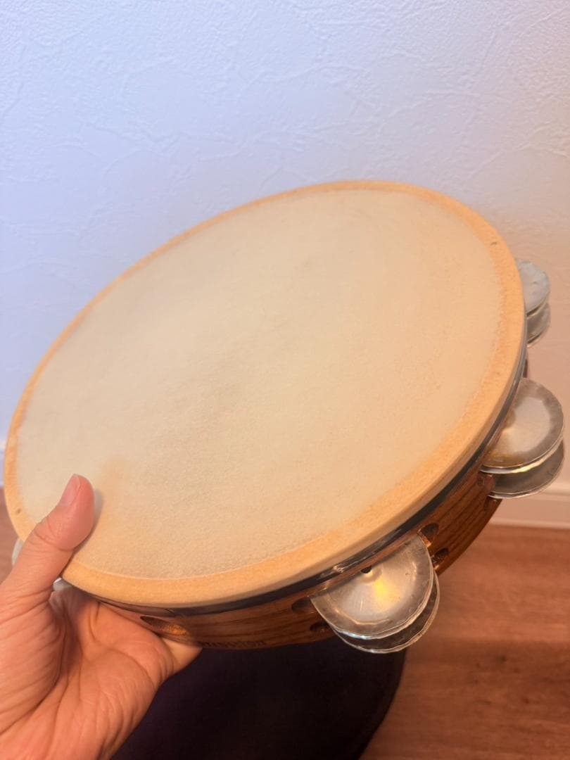 Black Swamp タンバリン 正規品 専用ケース付き