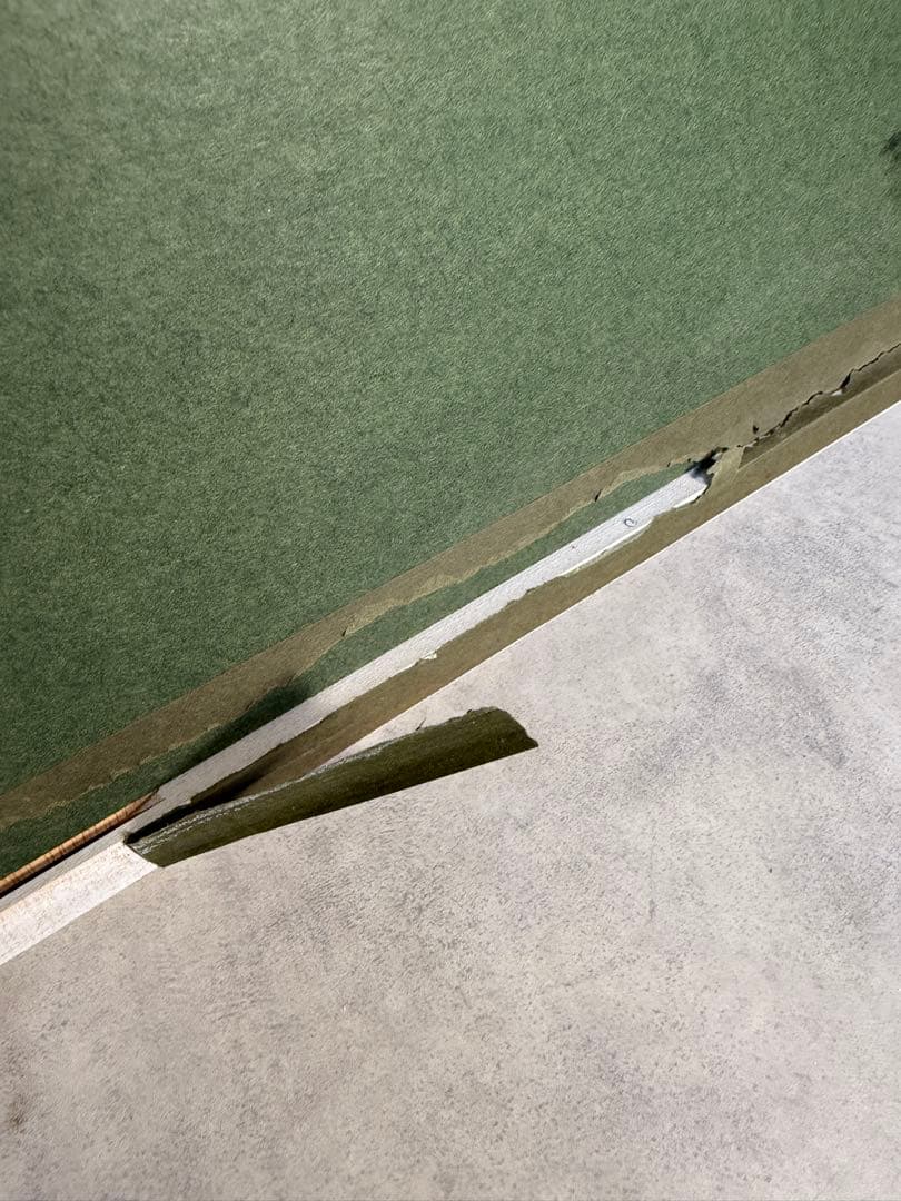 限定25/175 植物写実版画 額装 M.Tateishi ボタニカルアート