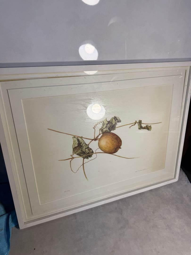 限定25/175 植物写実版画 額装 M.Tateishi ボタニカルアート