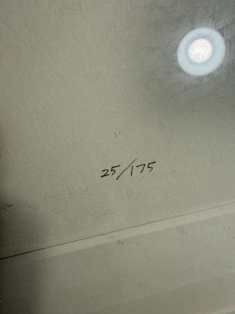 限定25/175 植物写実版画 額装 M.Tateishi ボタニカルアート