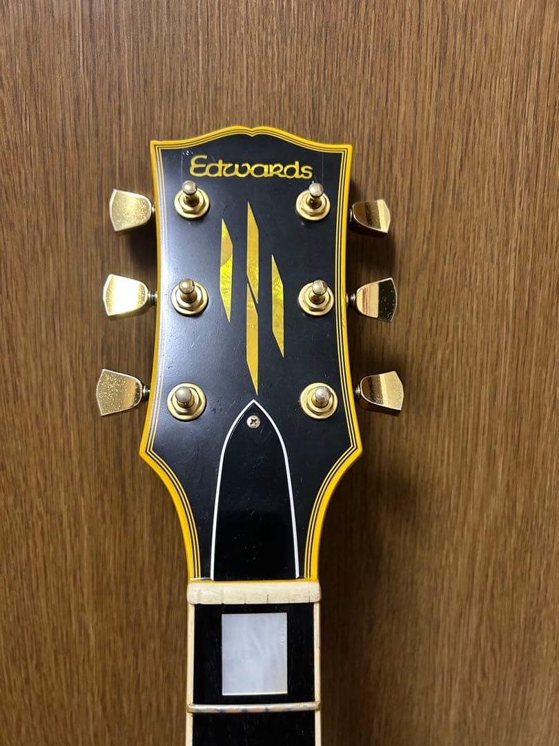 Edwards E-LPシリーズ