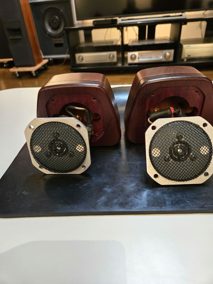 CORAL HD-10スーパーツイ－ターペア　美品