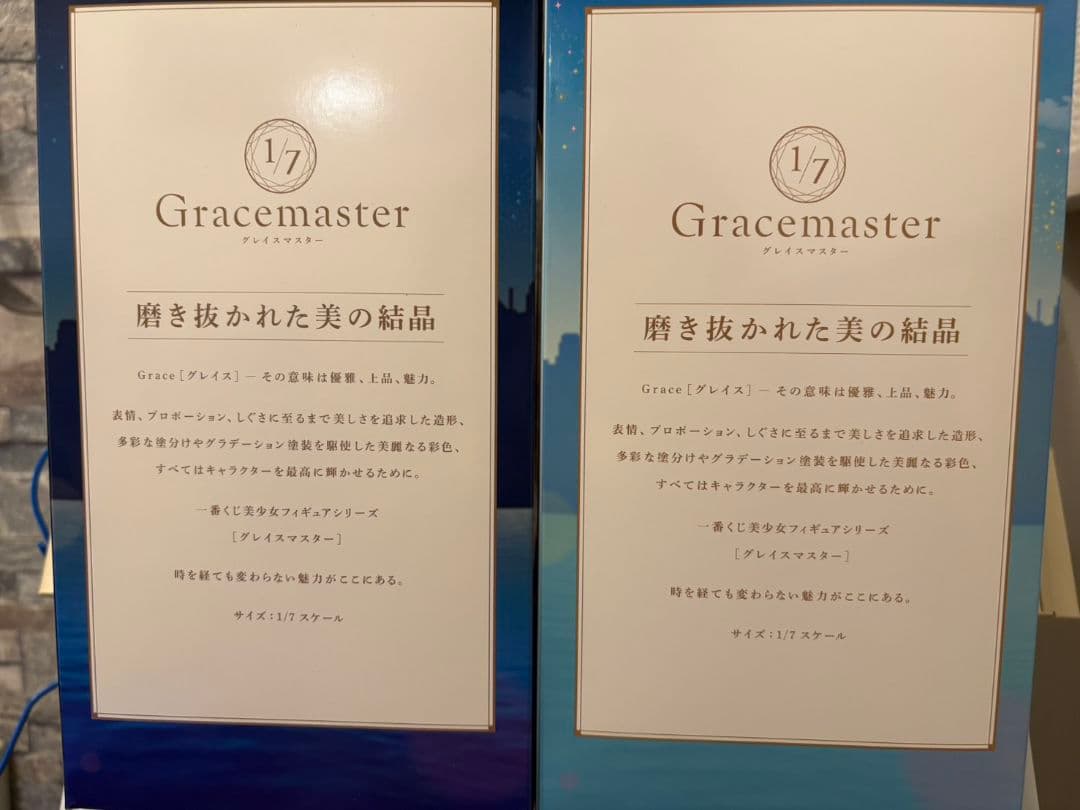 一番くじ　Fate/Grand Order　A賞 ラストワン賞 +おまけ