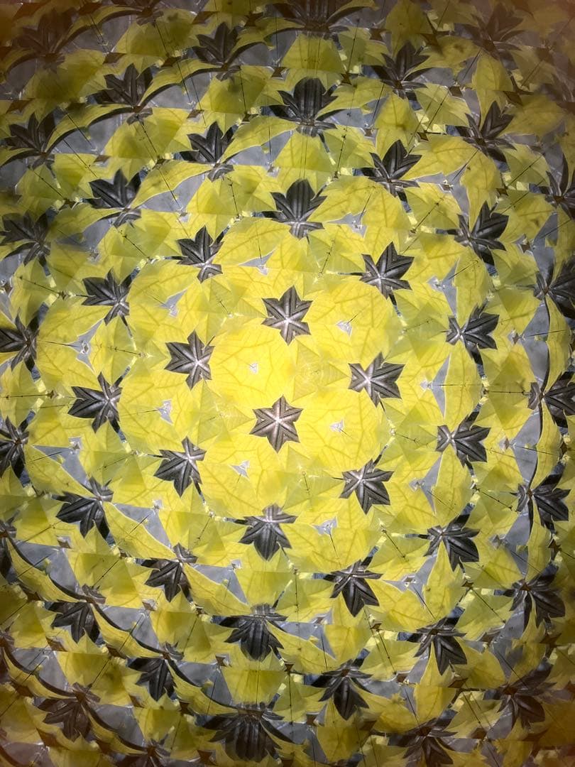 長いテレイドスコープ、24cm,ロイコヘンの作品