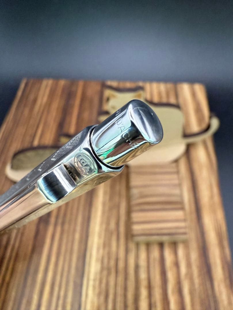 Caran d'Ache ボールペン エクリドール シェブロン