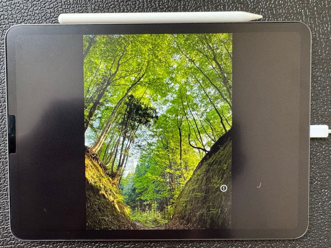 iPad Pro第二世代 11インチ 256GB