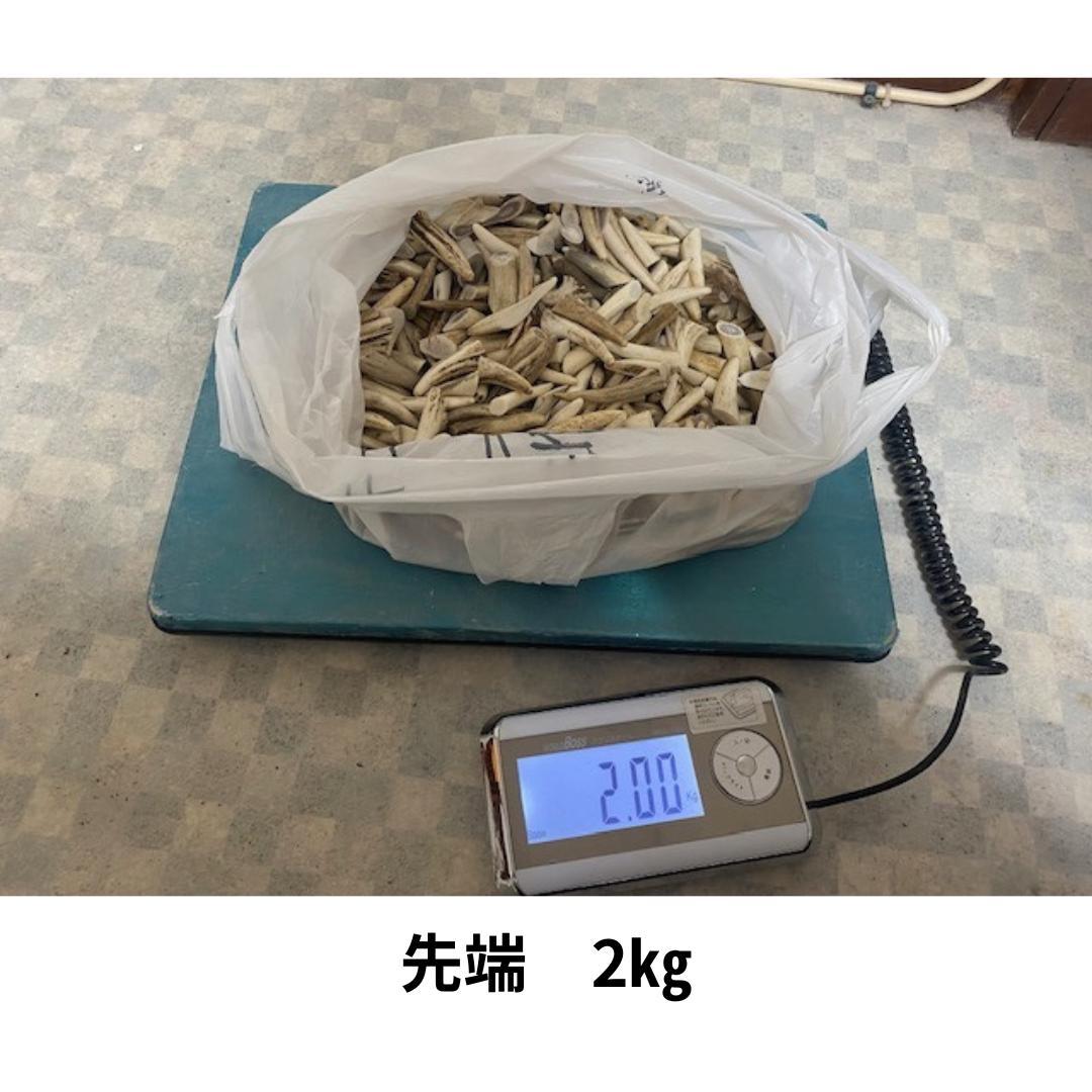 北海道産シカ角おやつ 28kg