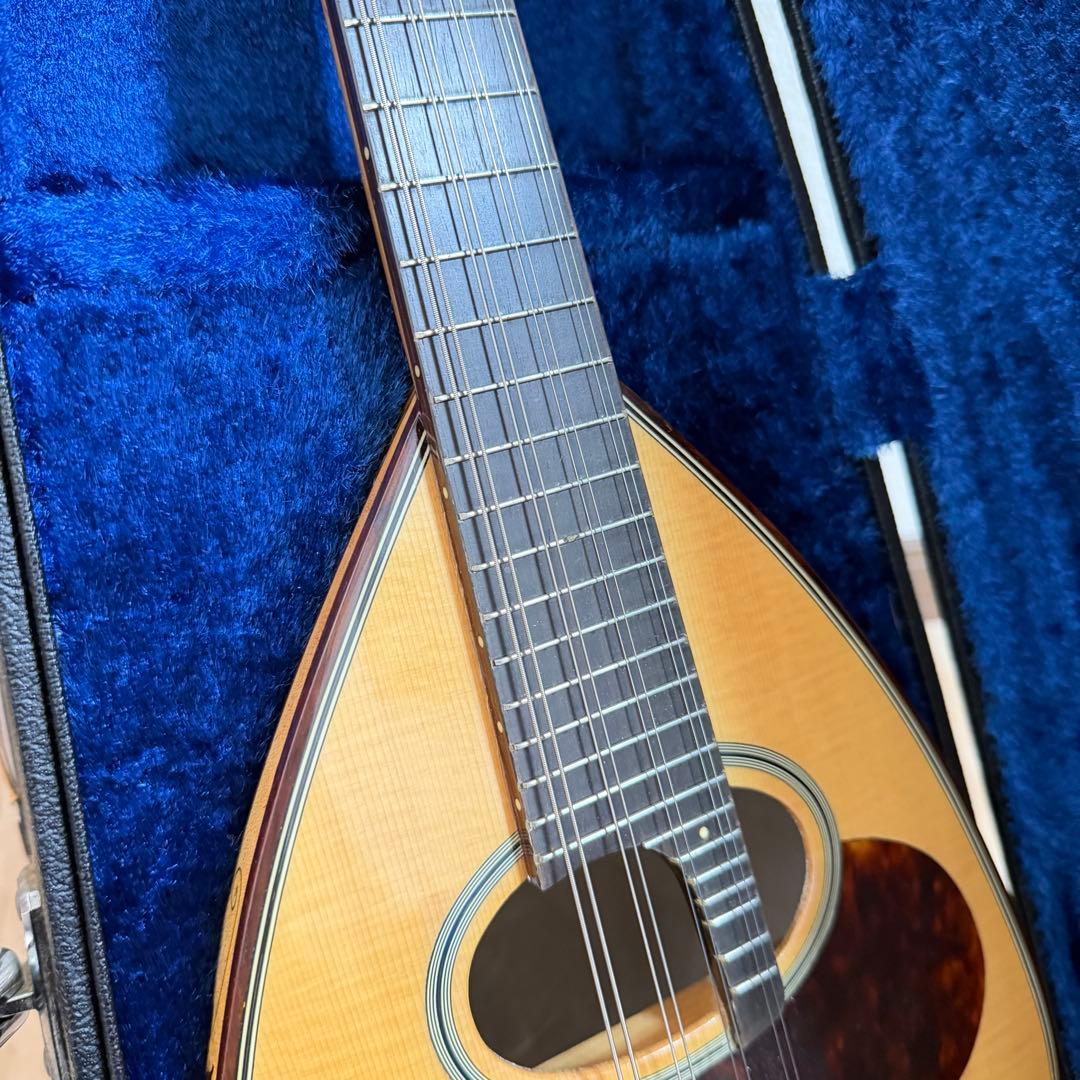 【最上位機種】SUZUKI スズキ　マンドリン　M-150 ハードケース付