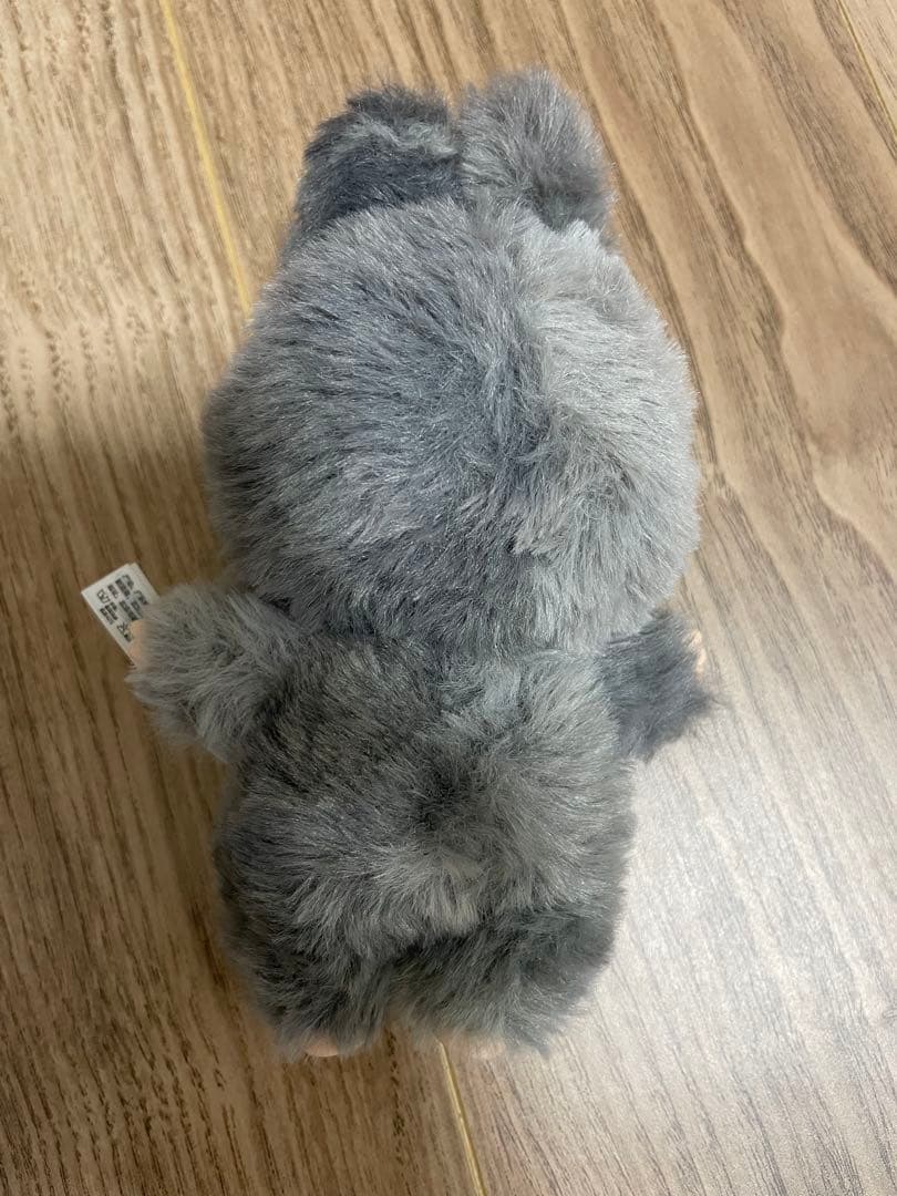 ラブブ Big into Energy シークレット 【正規品】