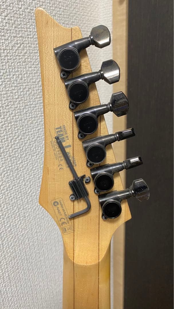 ギター Ibanez Prestige RG2670Z GK