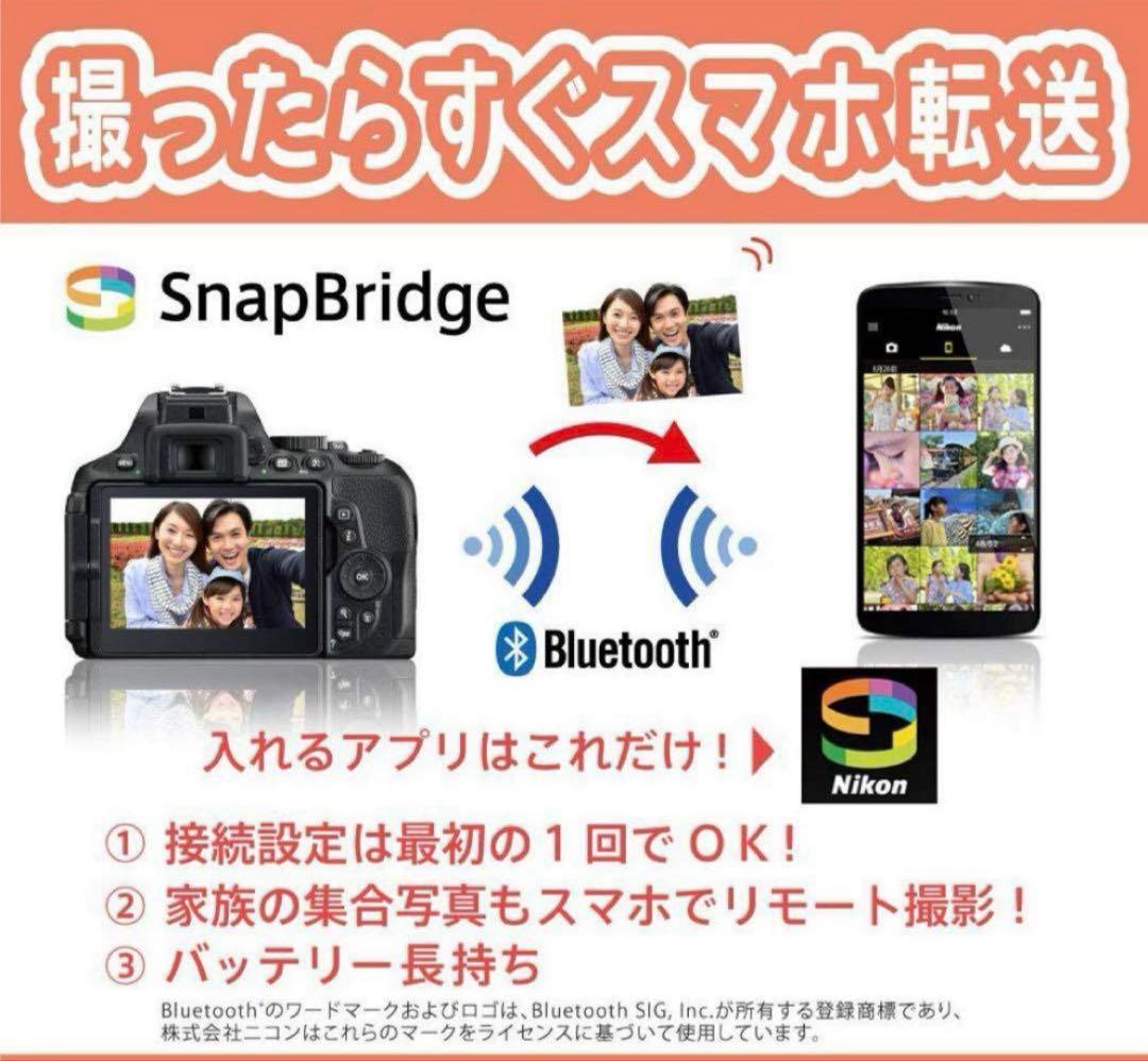 【美品、シャッター数2900回極小】ニコン Nikon D5600 ダブルズーム