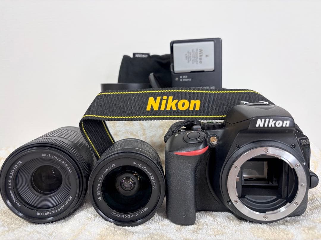 【美品、シャッター数2900回極小】ニコン Nikon D5600 ダブルズーム