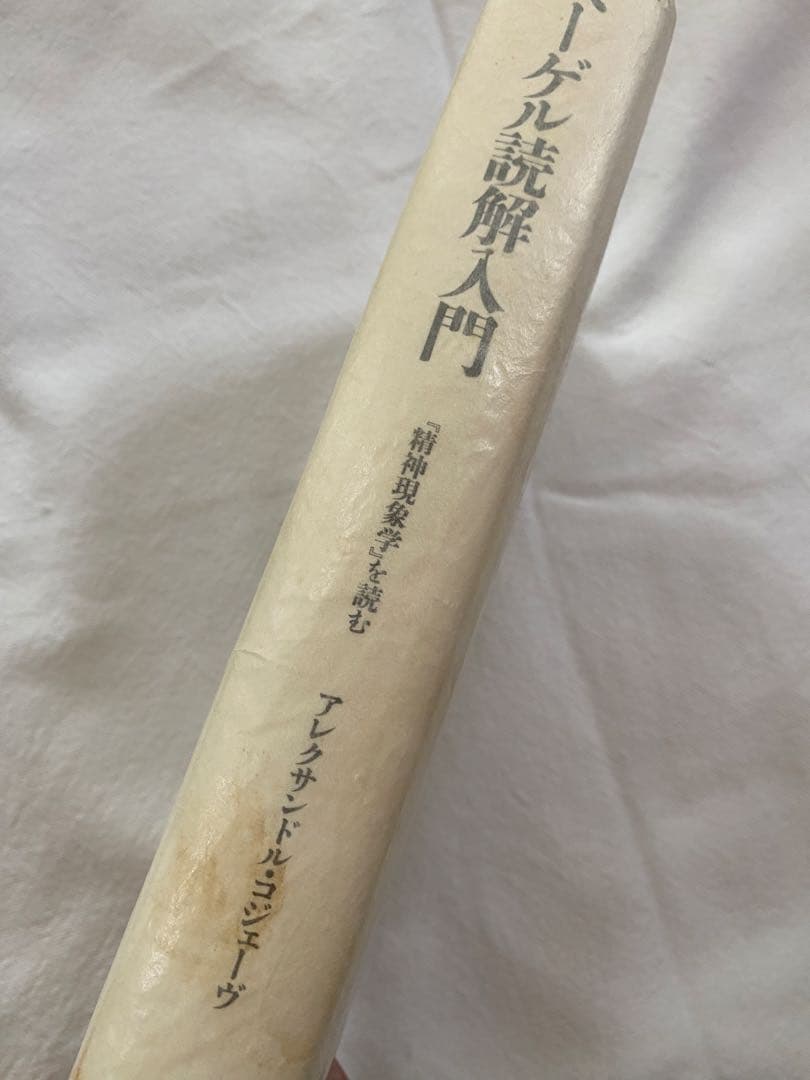 【絶版】ヘーゲル読解入門　国文社