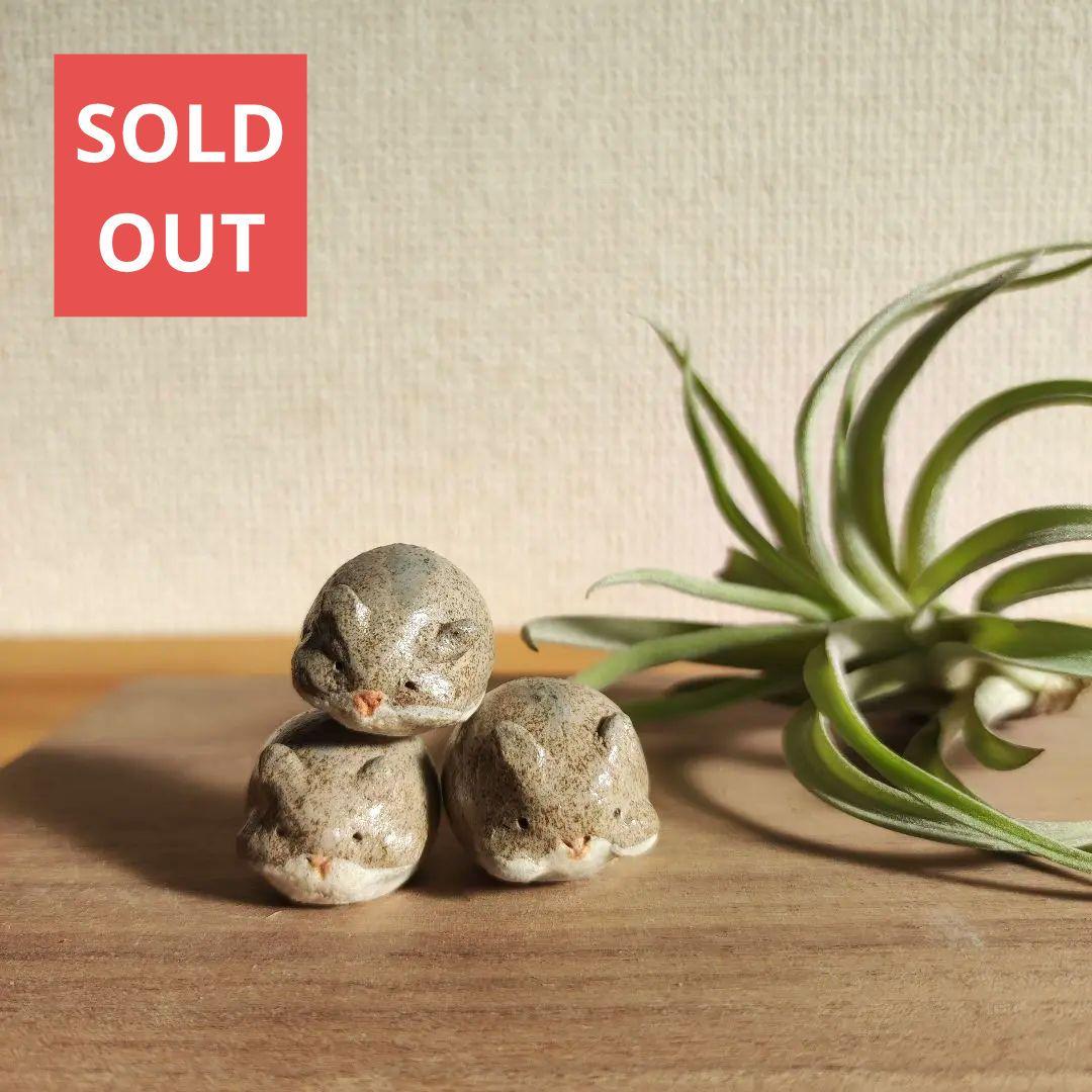 ハムスターの家族