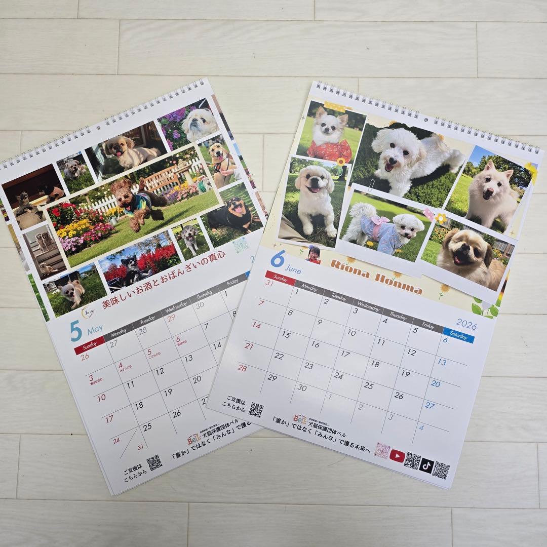 ②『犬』壁掛けチャリティーカレンダー5枚セット