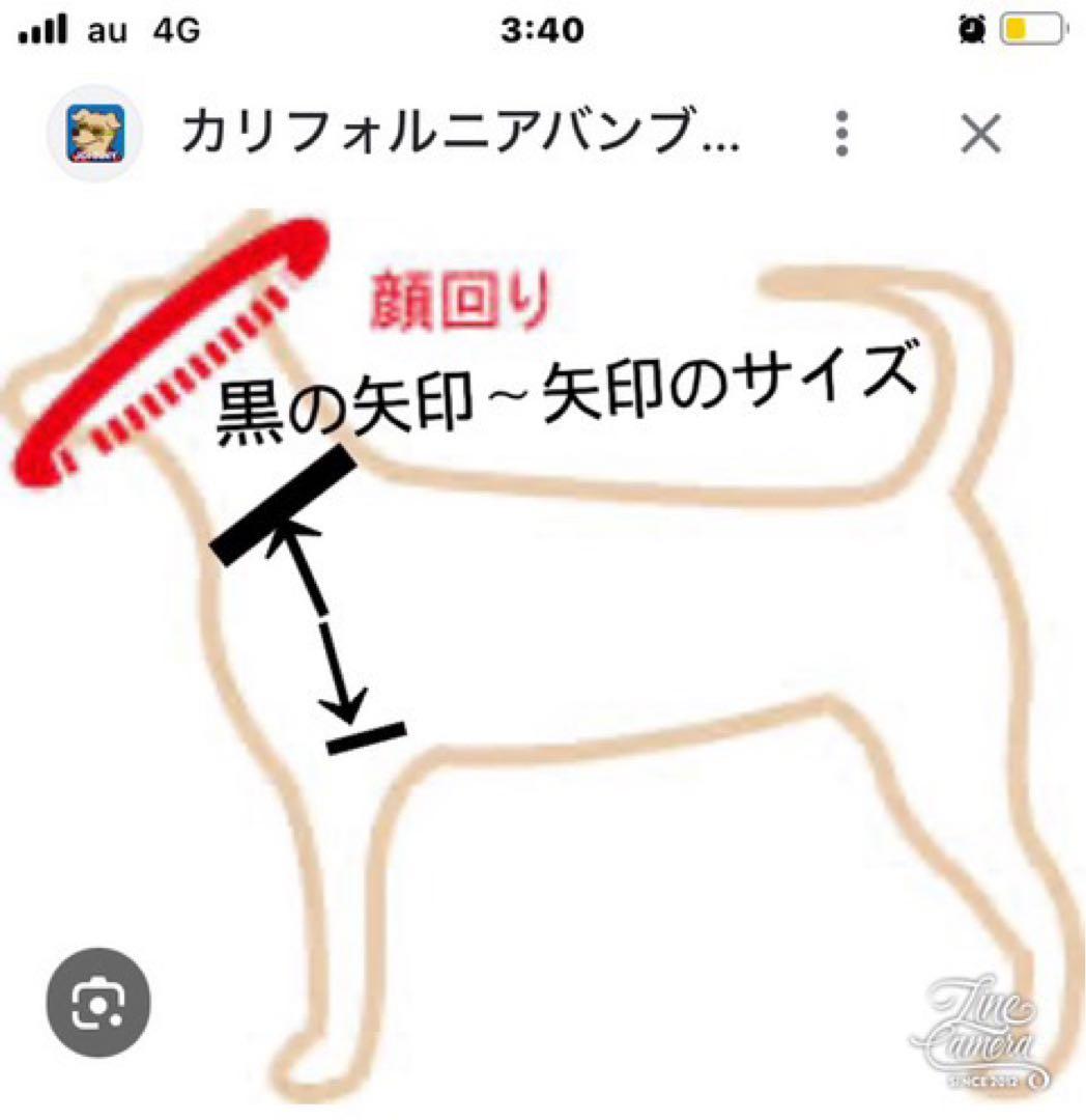 B413.pon2pan2☆オーダー☆犬お引き摺りお着物☆犬お着物