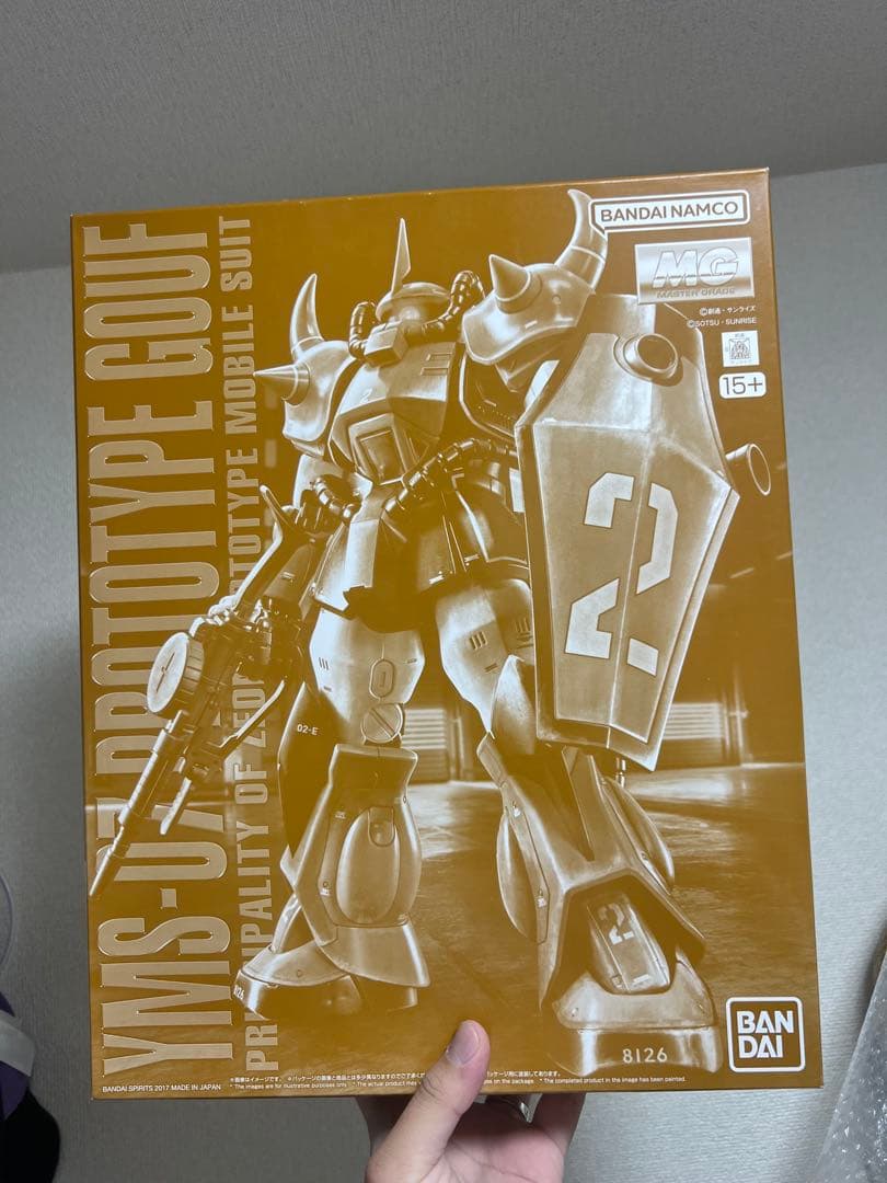 MG 1/100 プロトタイプグフ