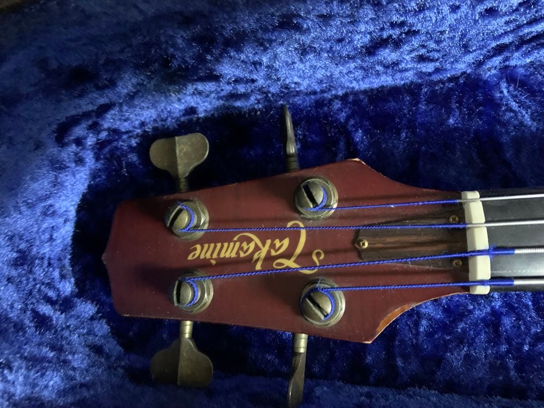 Takamine B10 タカミネ アコースティックベース フレットレスベース