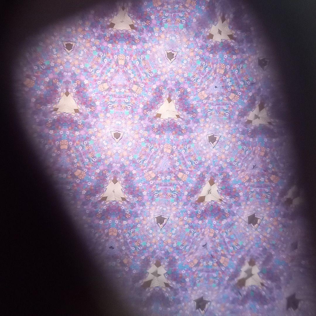 【廃盤品】香蘭社・有田焼万華鏡「カーネーション」