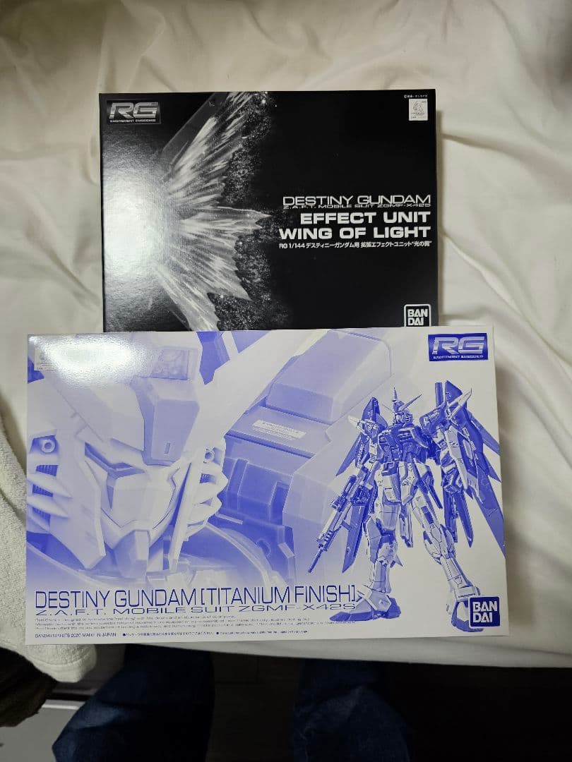 RG デスティニーガンダム チタニウムフィニッシュ+光の翼
