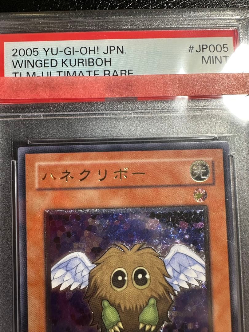 【PSA9連番】　ハネクリボー　ハネクリボーLV10 レリーフ　鑑定品