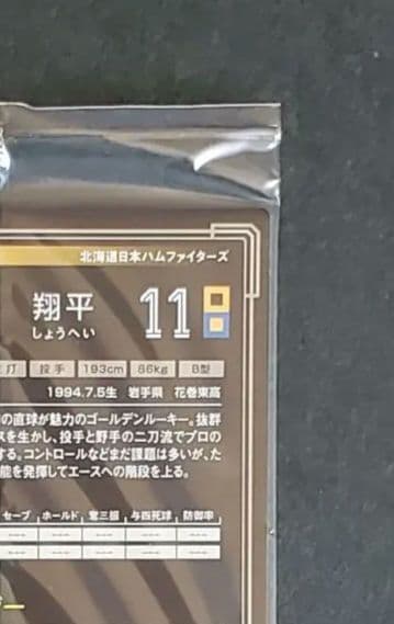 【激レア未開封品】大谷翔平 2013 オーナーズリーグ インフィニティ 投手版