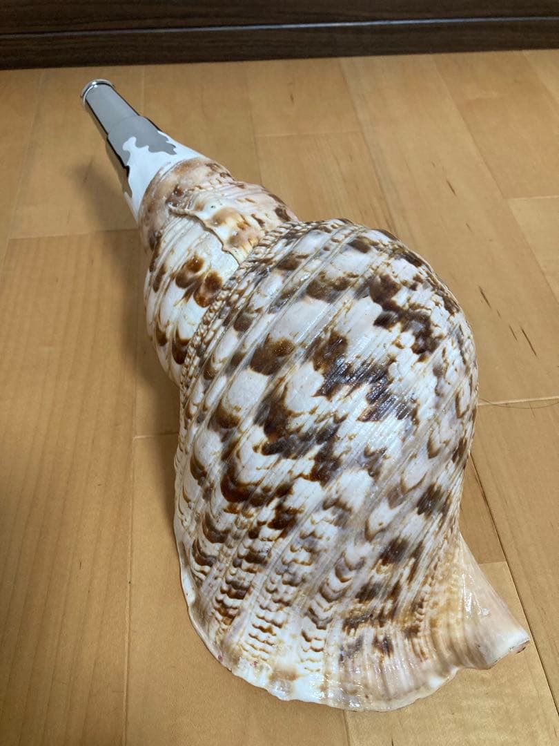 法螺貝　ほら貝　ホラ貝　山伏 修験道　和太鼓　お祭り　魔除け　当山派　本山派