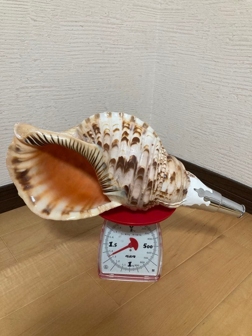 法螺貝　ほら貝　ホラ貝　山伏 修験道　和太鼓　お祭り　魔除け　当山派　本山派