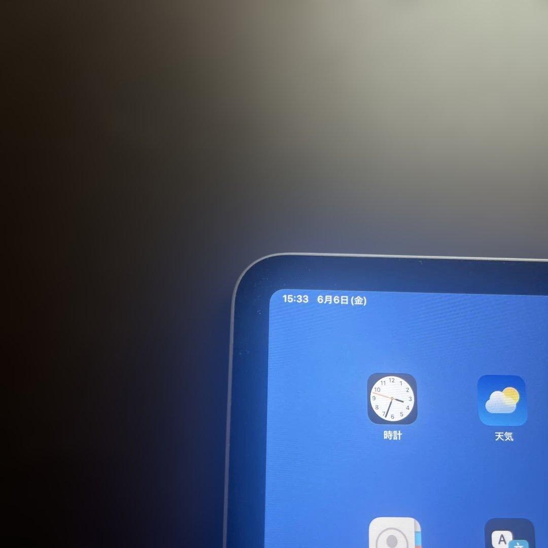 S*w様 Apple iPad Pro (11インチ) 第2世代 1TB スペー