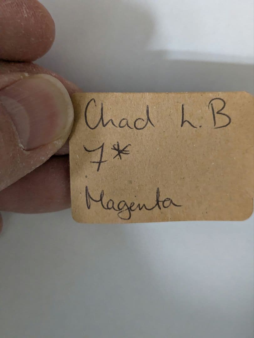 SYOS 　テナーサックス用マウスピース　　Chad LBモデル　7☆