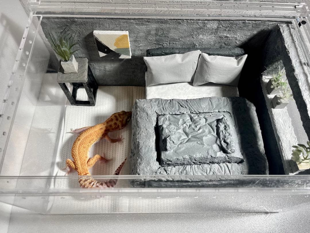 レプタイルボックス付き　レイアウトセット