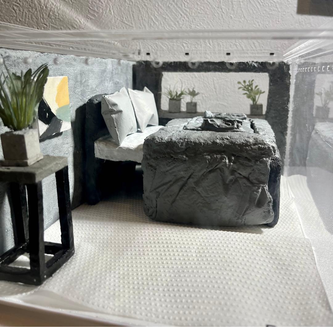 レプタイルボックス付き　レイアウトセット