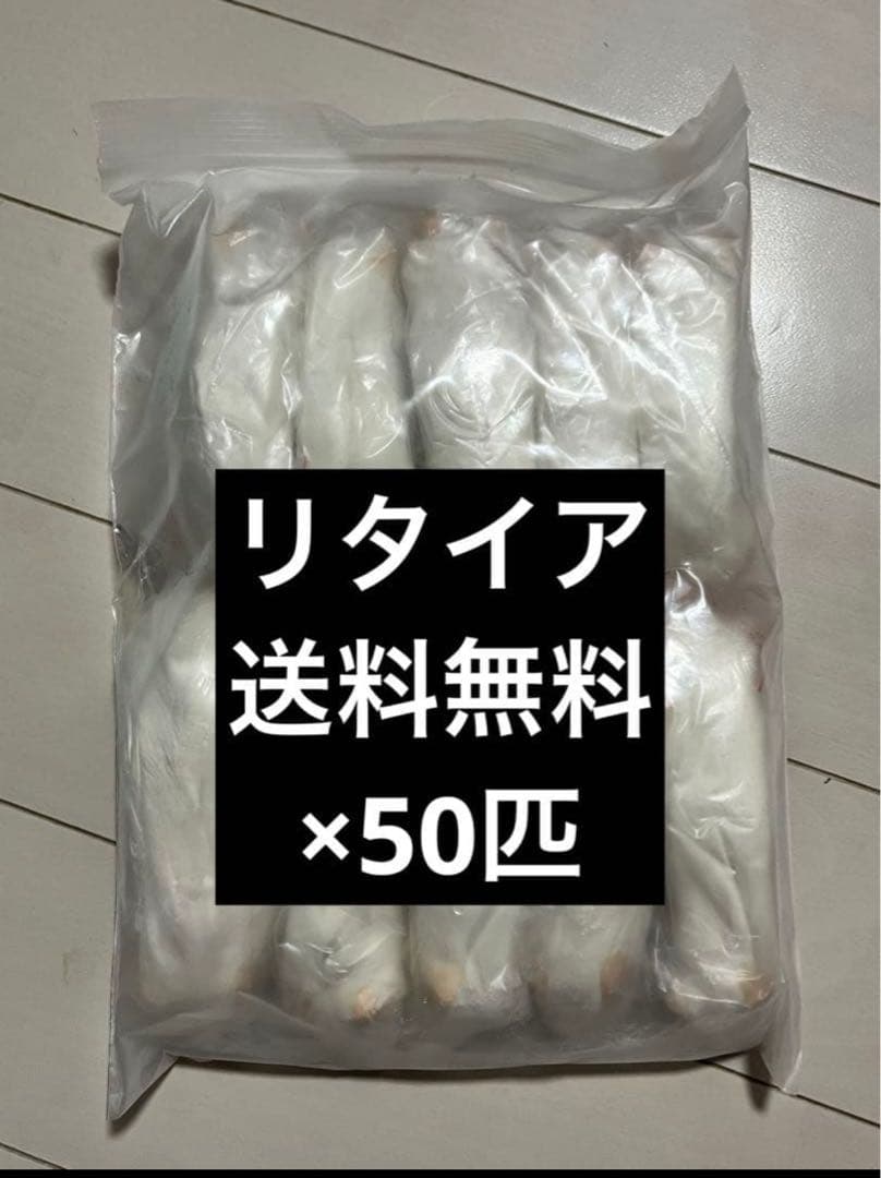 冷凍マウス　リタイア50匹