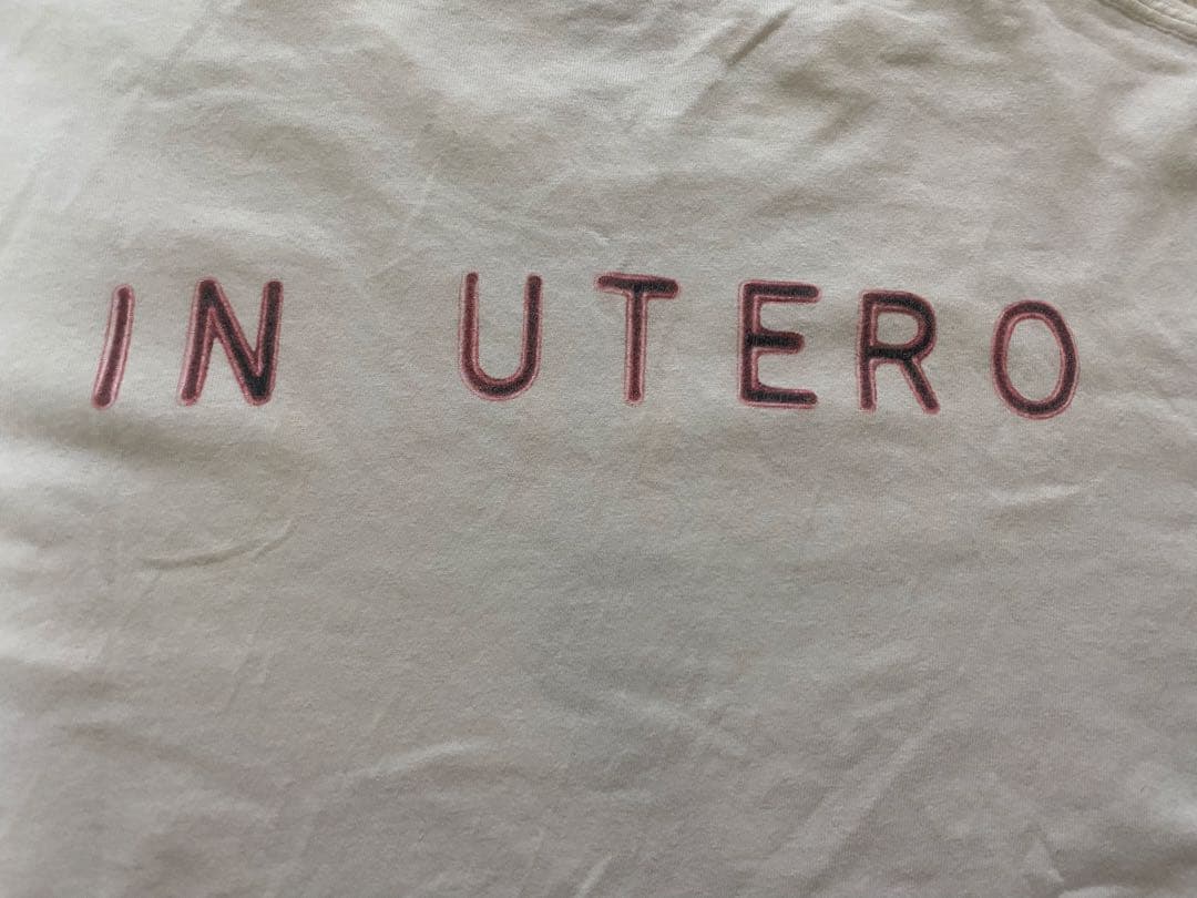 レア NIRVANA ビンテージ IN UTERO Tシャツ
