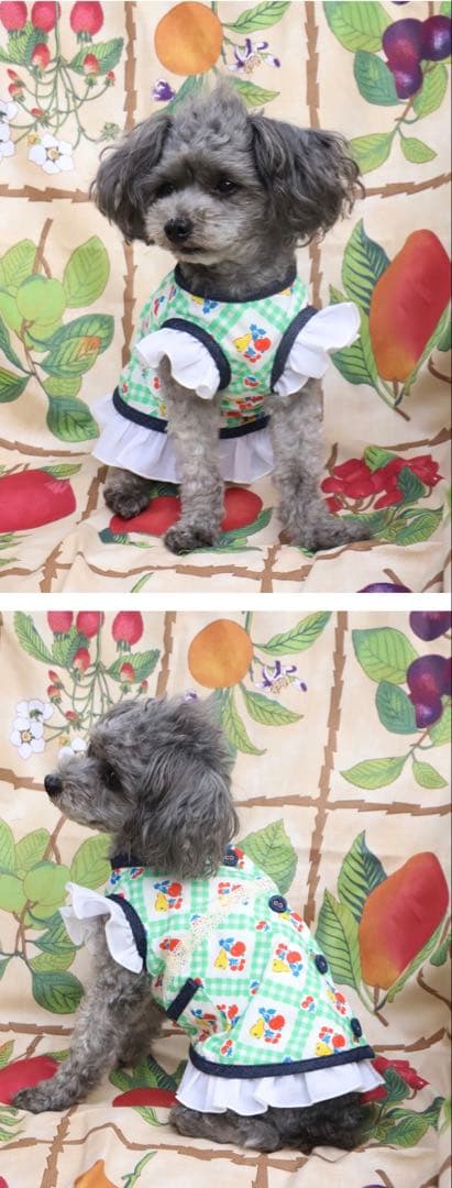 アトリエgg 「フルーツバスケット」 ガーデンエプロン