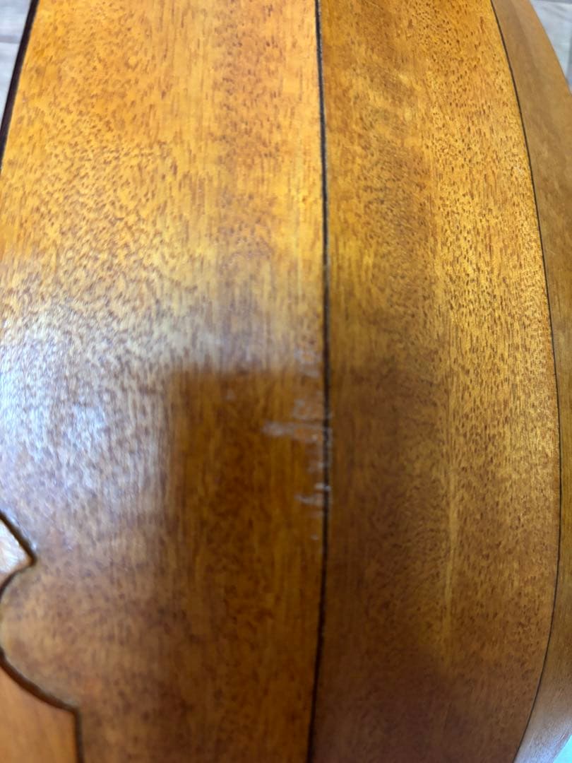 ルネサンス リュート 8コース 13弦