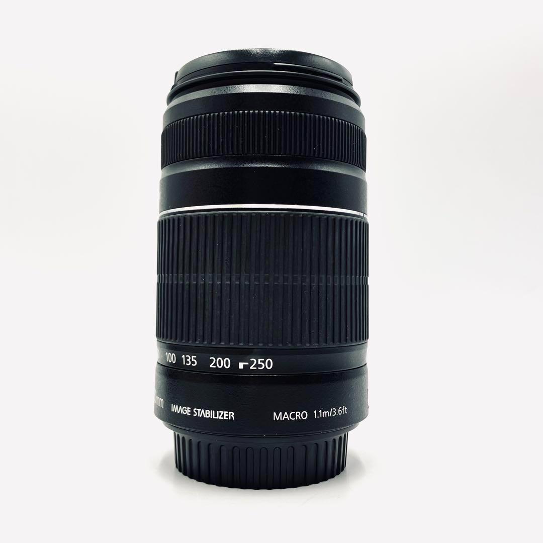 Canon EF-S 55-250mm F4-5.6 IS II 望遠レンズ