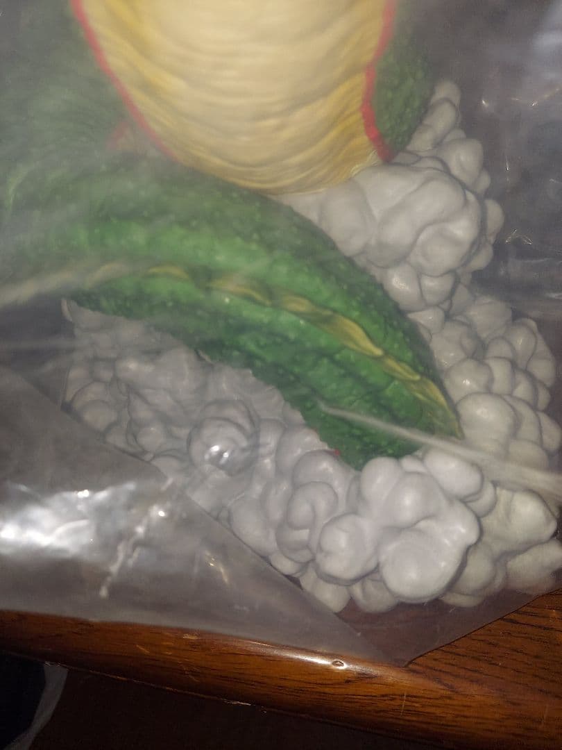 【国内正規品】ドラゴンボール一番くじ　ラストワン賞　ポルンガ